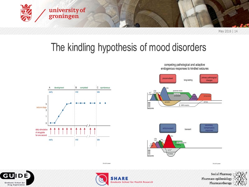 The kindling hypothesis of mood disorders May 2016  | 14
